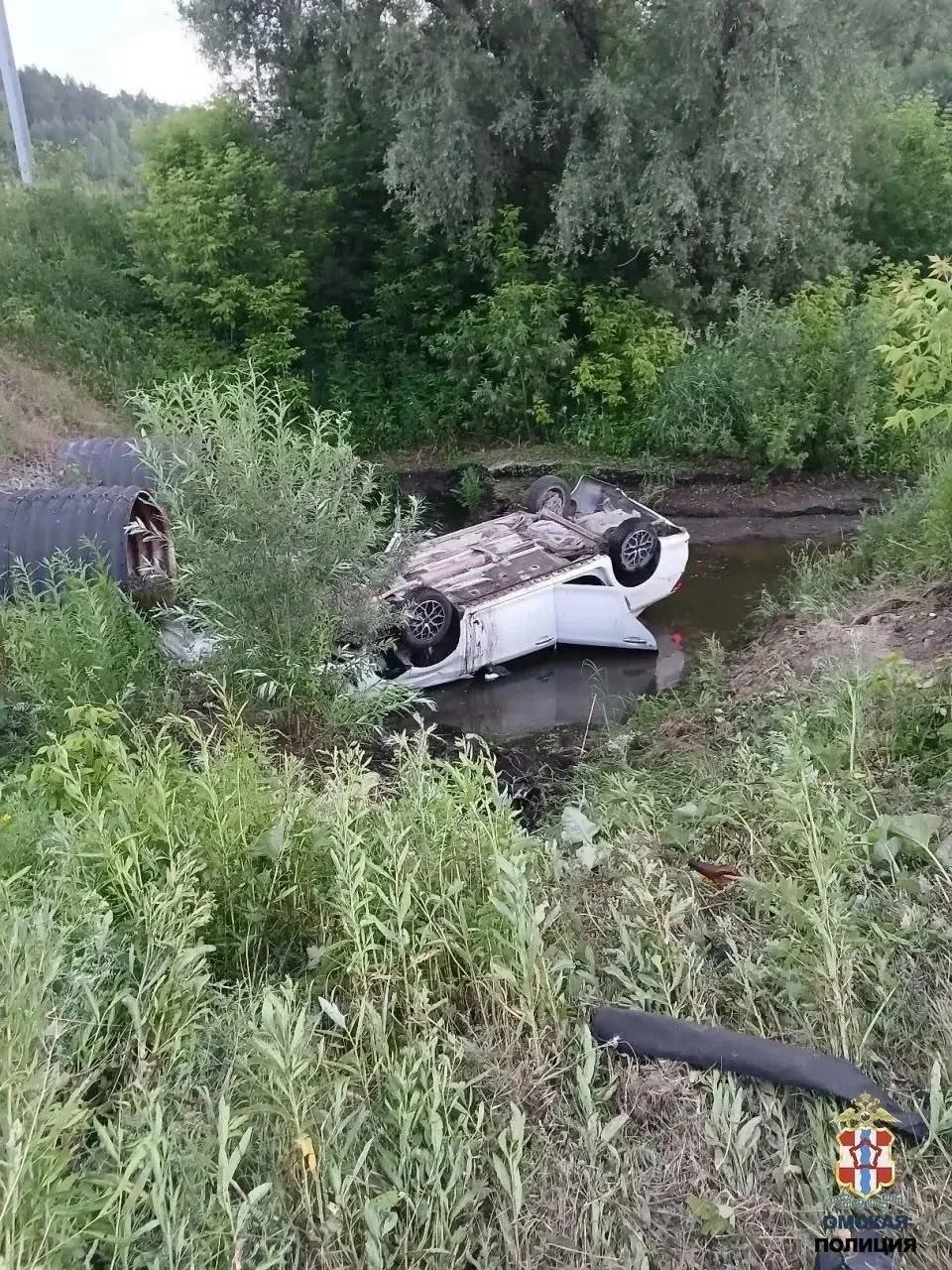 Четыре человека пострадали в страшной аварии в Омской области

Авария произошла накануне вечером в М