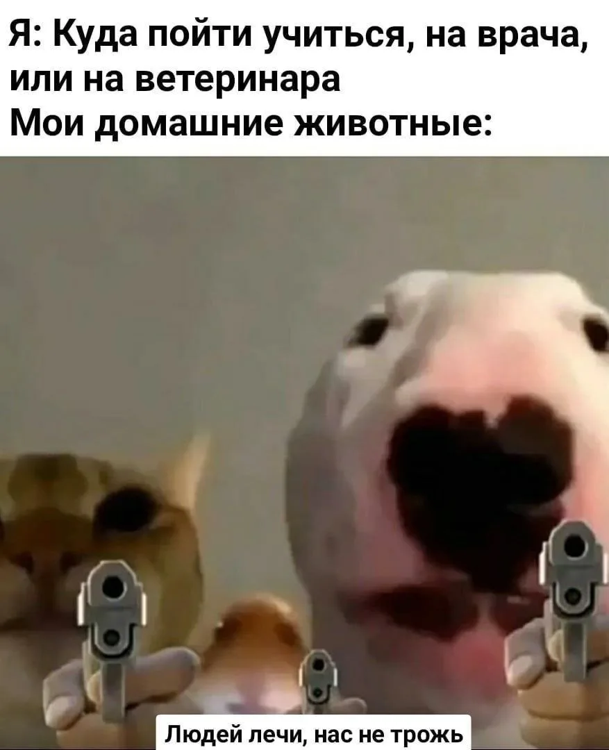 Действительно 🙂