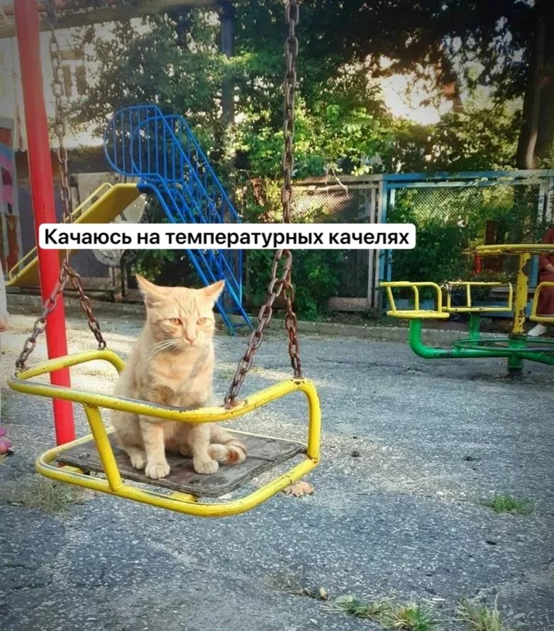 Резкие температурные качели ждут Ленинградскую область в ближайшие сутки, — синоптики