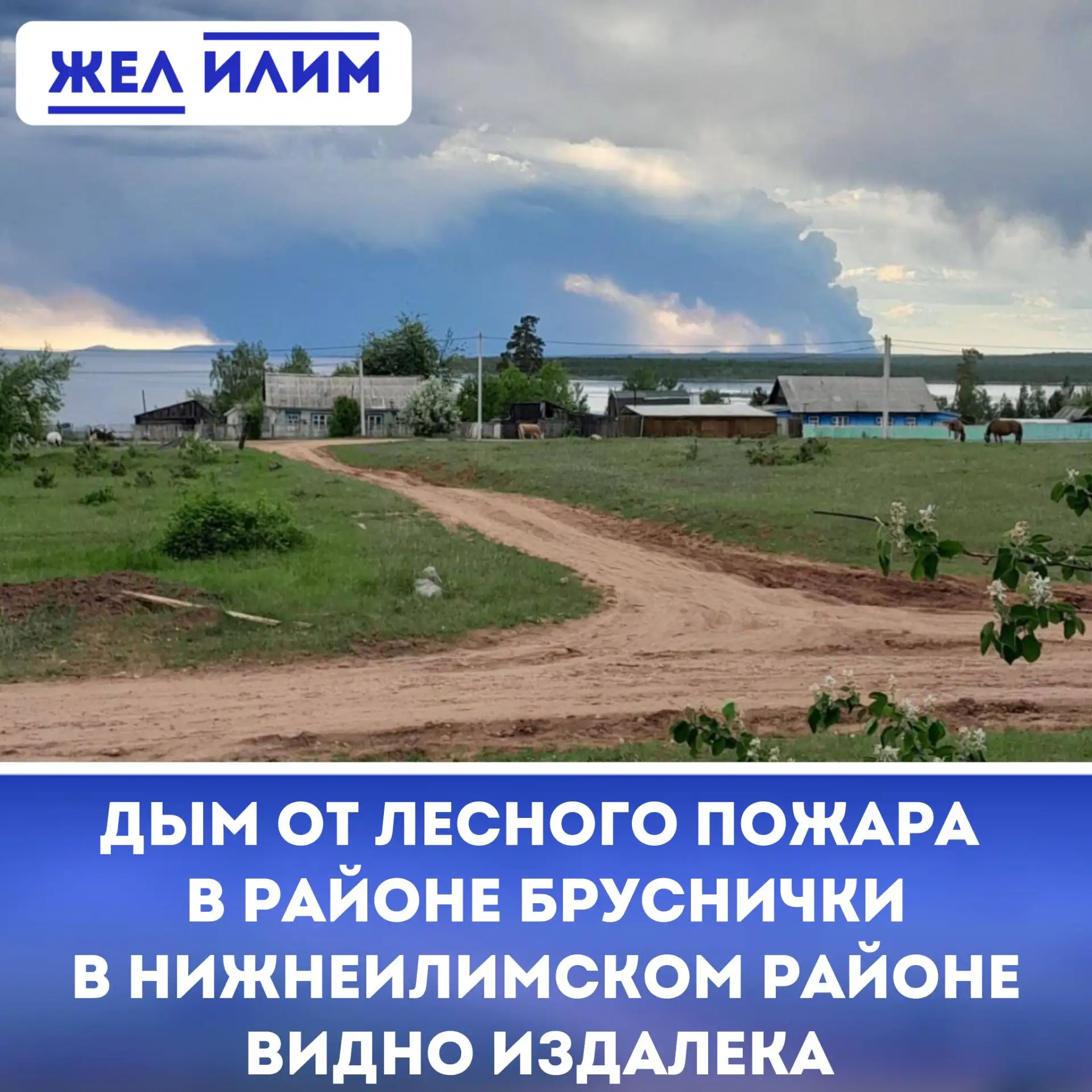 🌫 Дым от лесного пожара в районе Брусничного заметили жители Старой Игирмы. Кадрами поделились подп