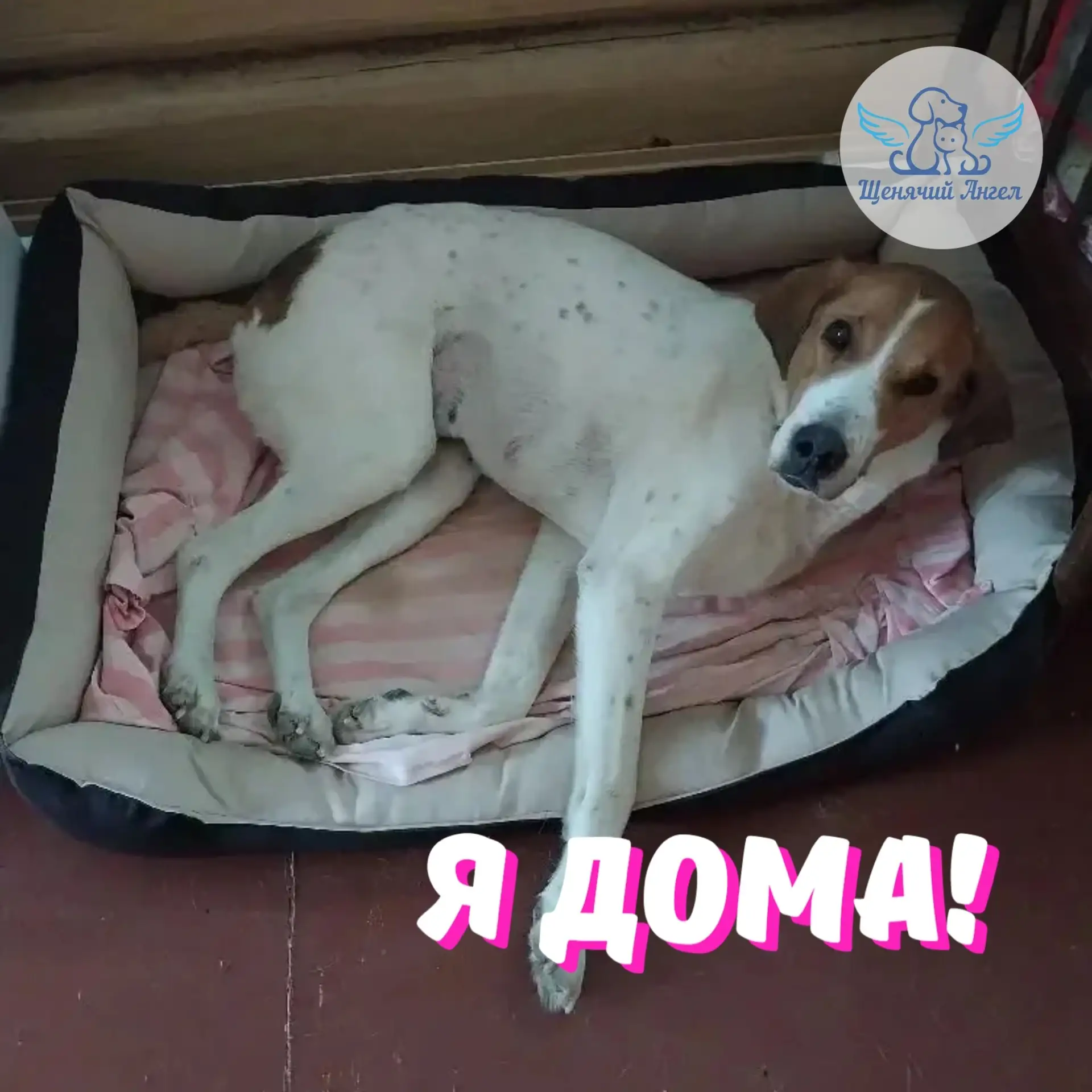ЛИНДА – Я ДОМА 🏡