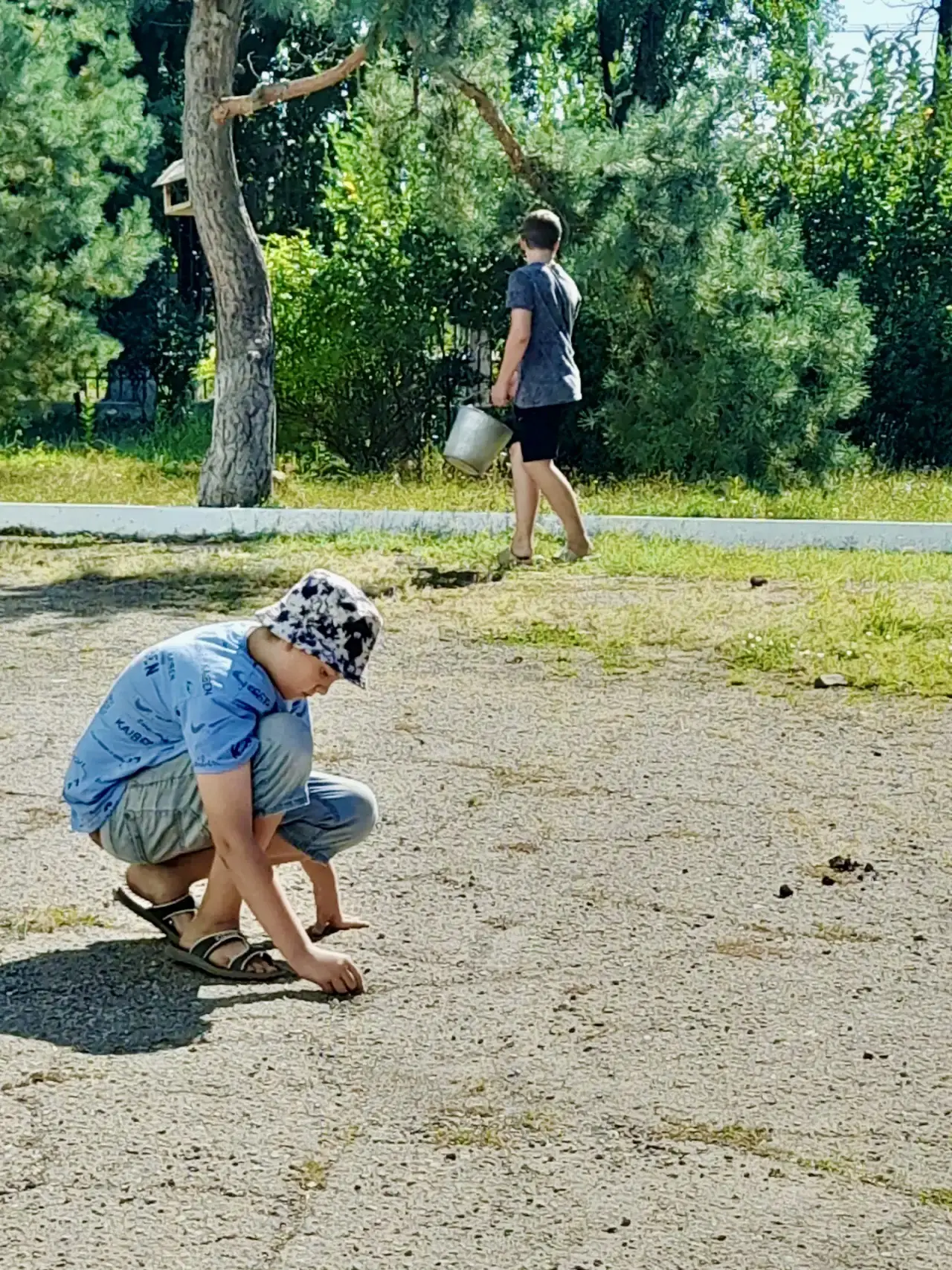🌱Лето с пользой: трудовая практика в школе!