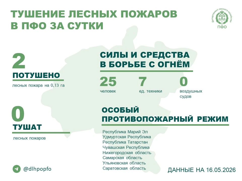 🔥️ За прошедшие сутки в регионах ПФО потушено 2 лесных пожара.

👥️ В борьбе в тушении лесных пожар