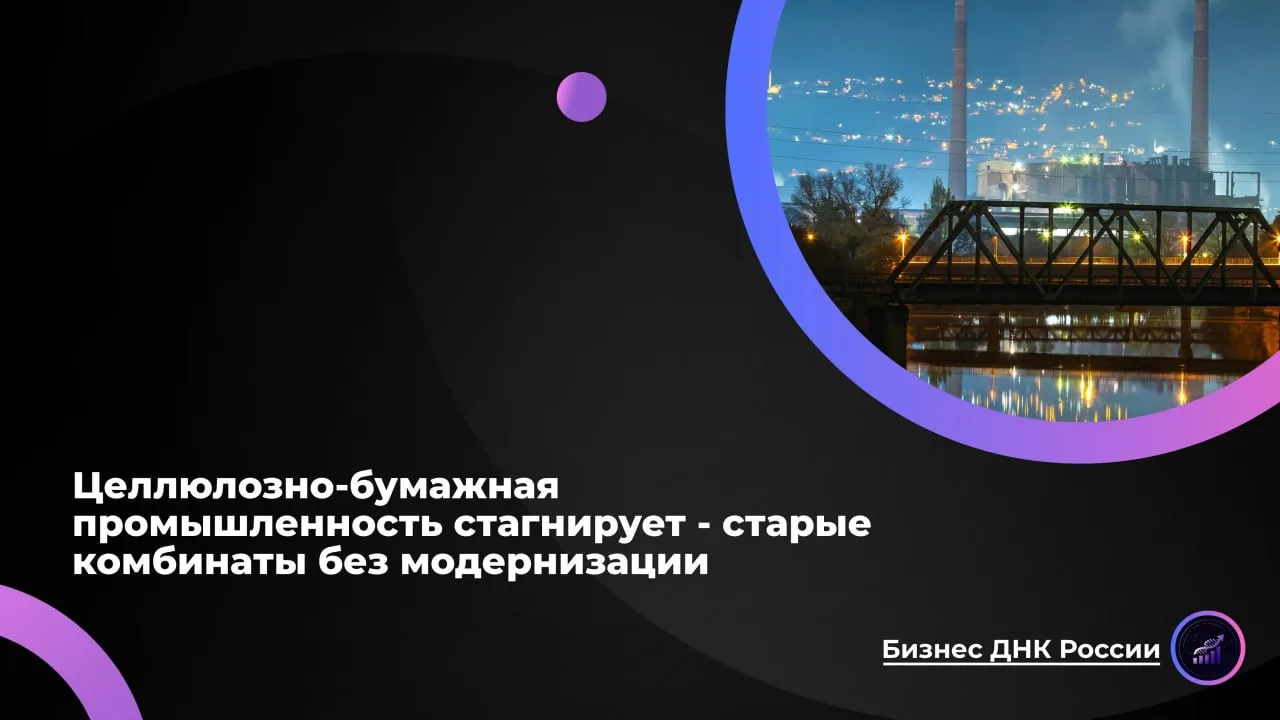 Целлюлозно-бумажная промышленность стагнирует - старые комбинаты без модернизации