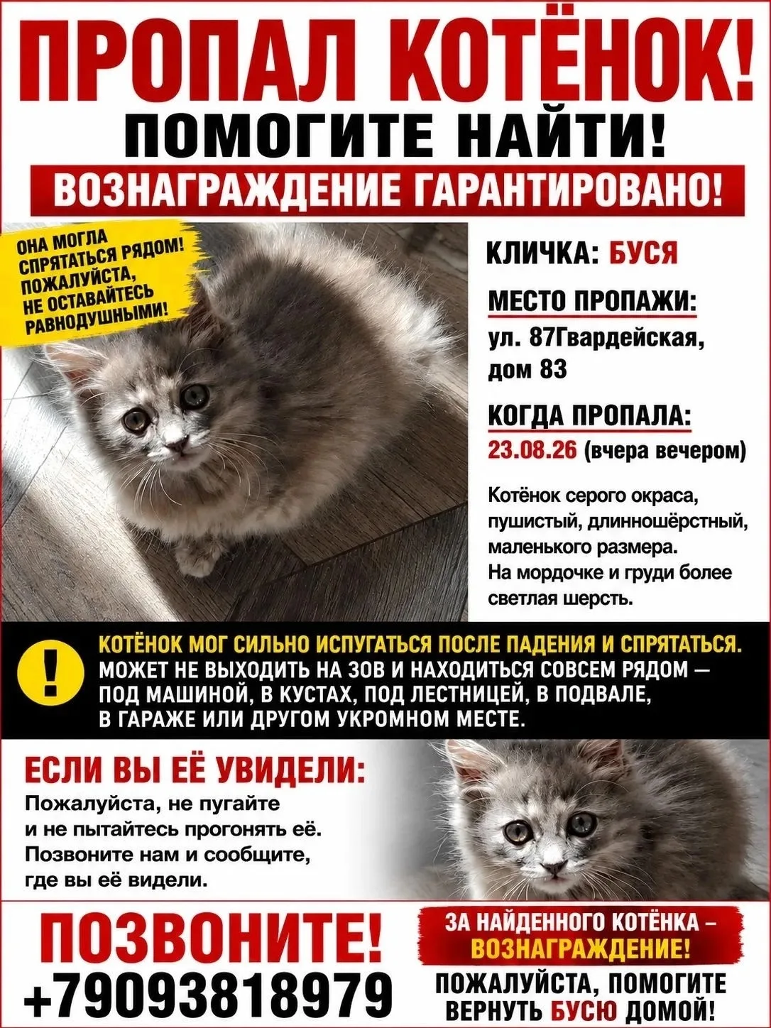 Здравствуйте.Можно у вас повесит,пожалуйста?