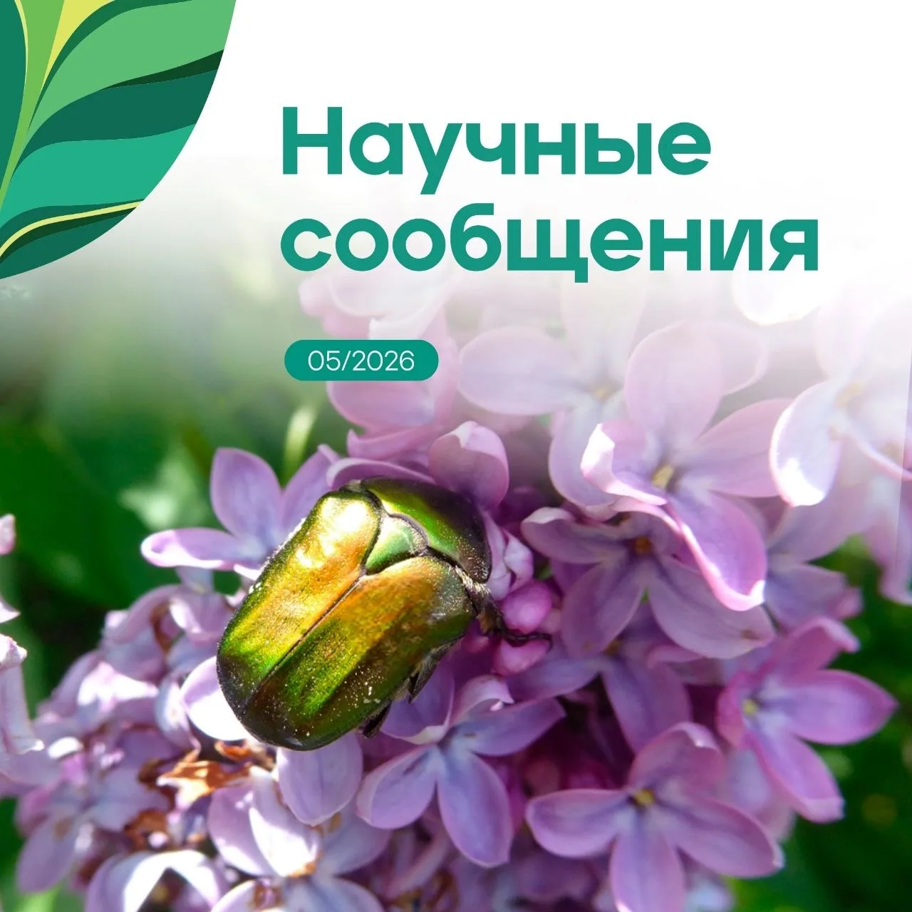 Дорогие друзья!