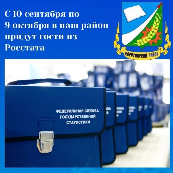 Нас опрашивает Росстат: что нужно знать