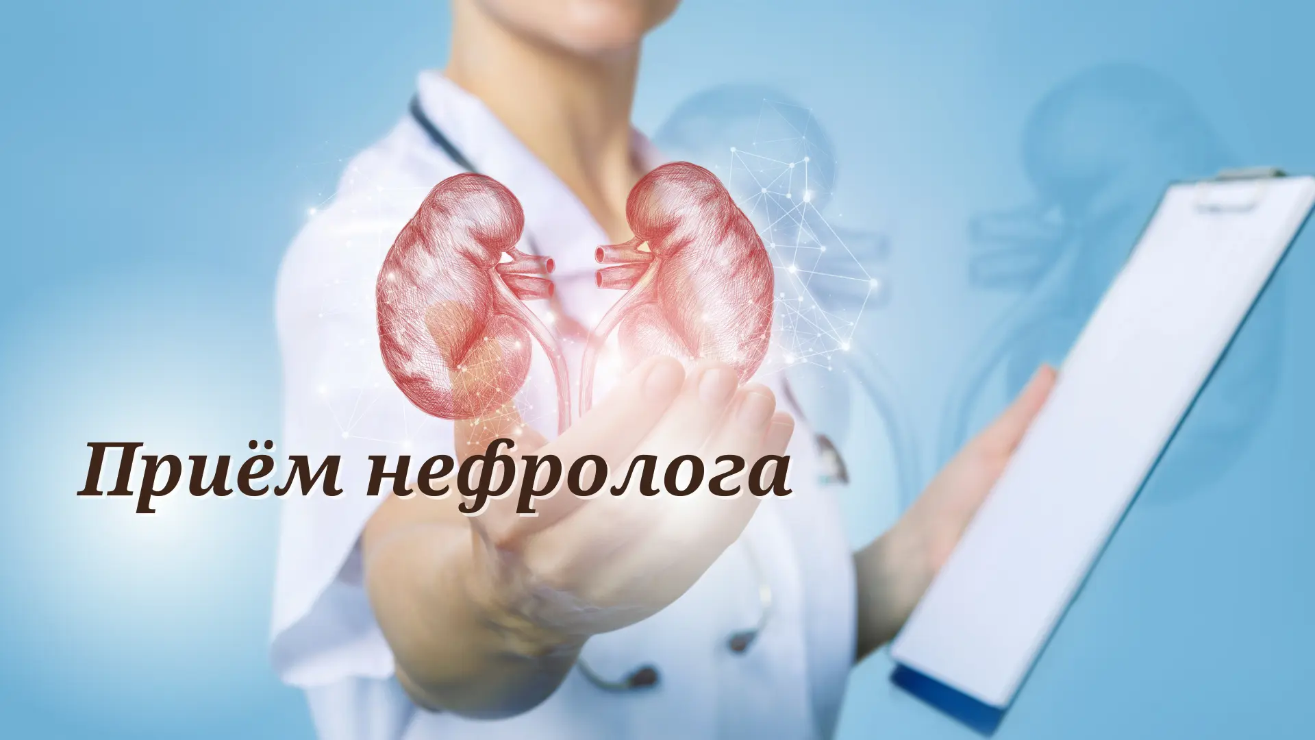 🧑‍⚕Врач-нефролог — это специалист, который занимается диагностикой, лечением и профила...