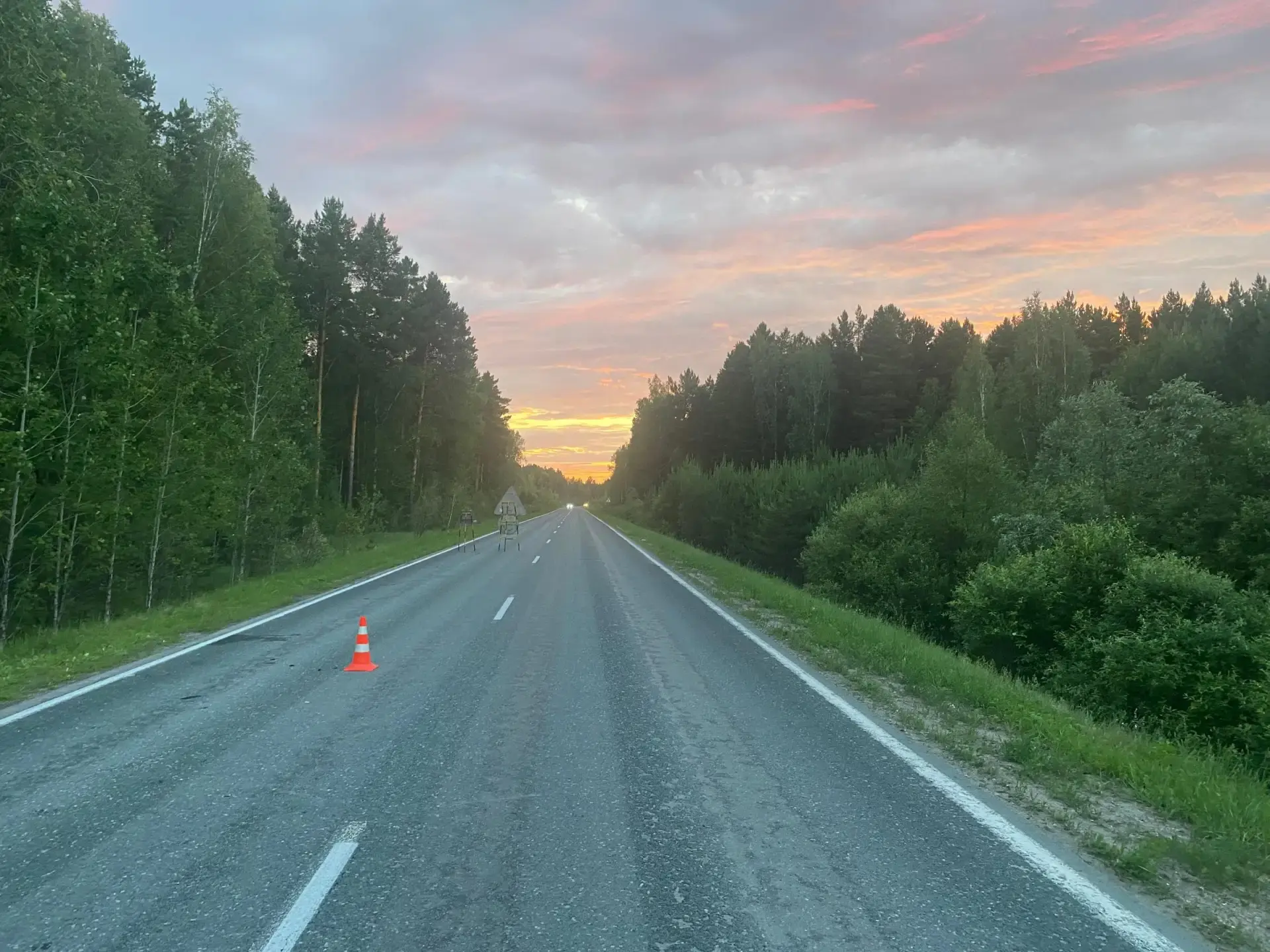 Первое в этом году трагическое ДТП с участием дикого животного произошло в Тюменской области

Ночью 