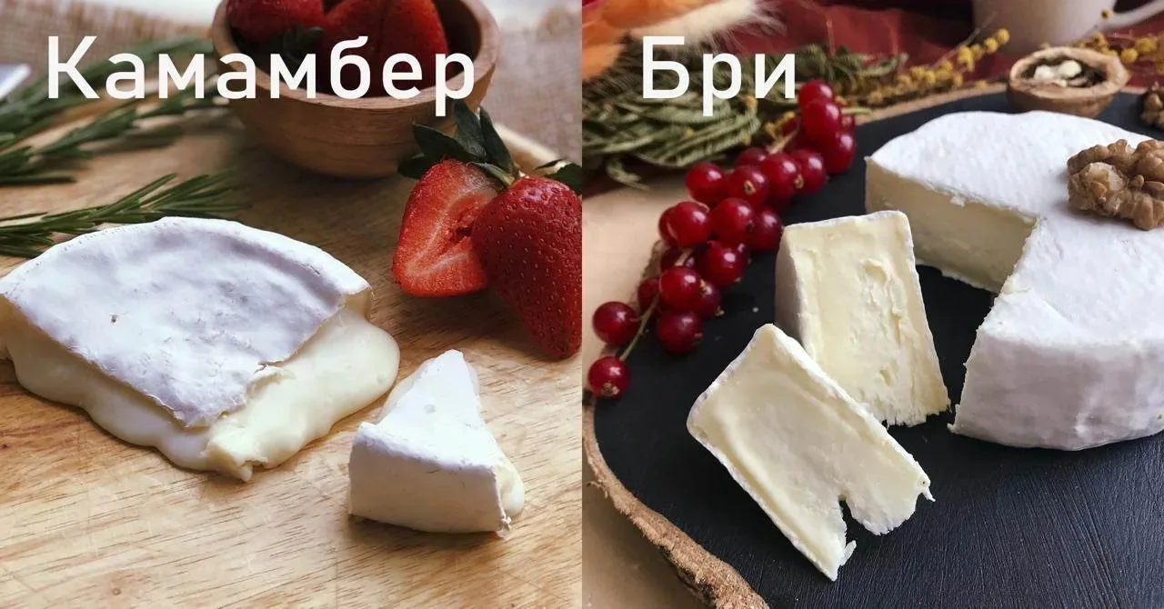 В чём разница между камамбером и бри?

 Камамбер обычно меньше по размеру и жирнее по ощущениям. У н