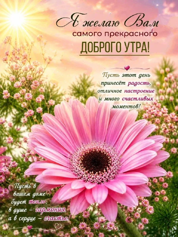 🌼Прикольные открытки