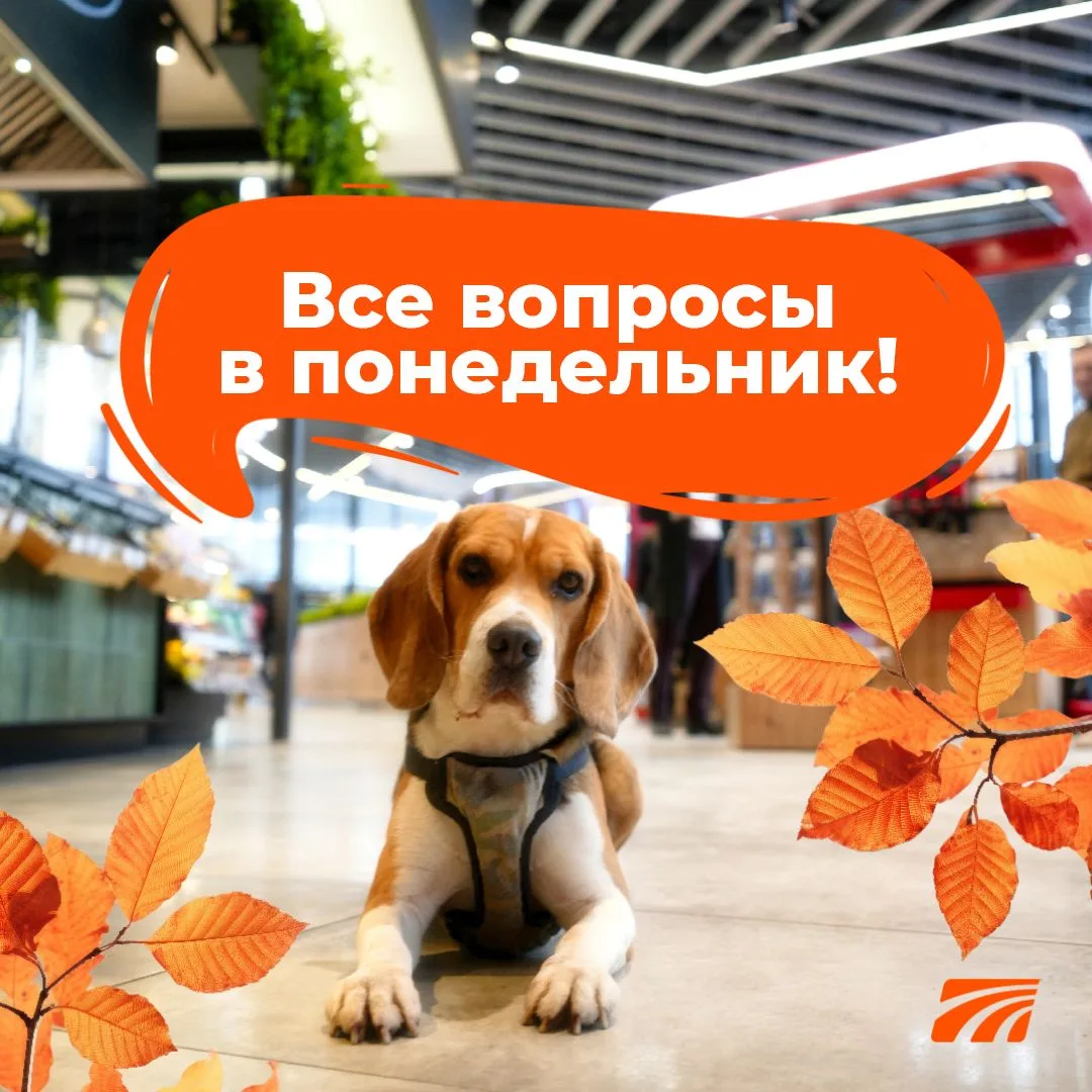 Изображение 2 к публикации «Сеть трасс Автодор»
