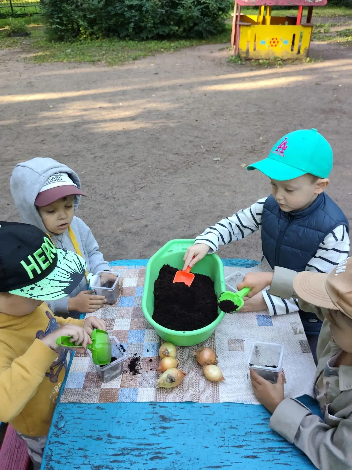 Наши маленькие огородники снова в деле! 
Сегодня ребята из второй младшей группы №6 снова взялись за
