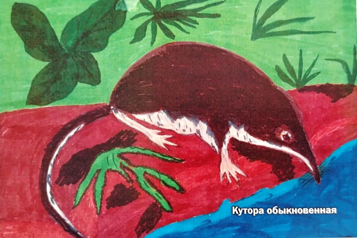 📬 В нашей библиотеке — приятная неожиданность! На днях мы получили две открытки из биб...