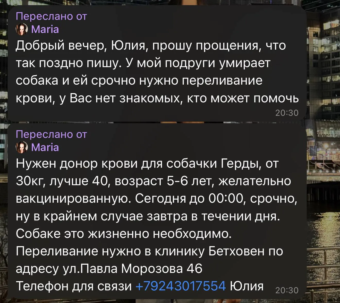 ❗Очень срочно нужна помощь❗