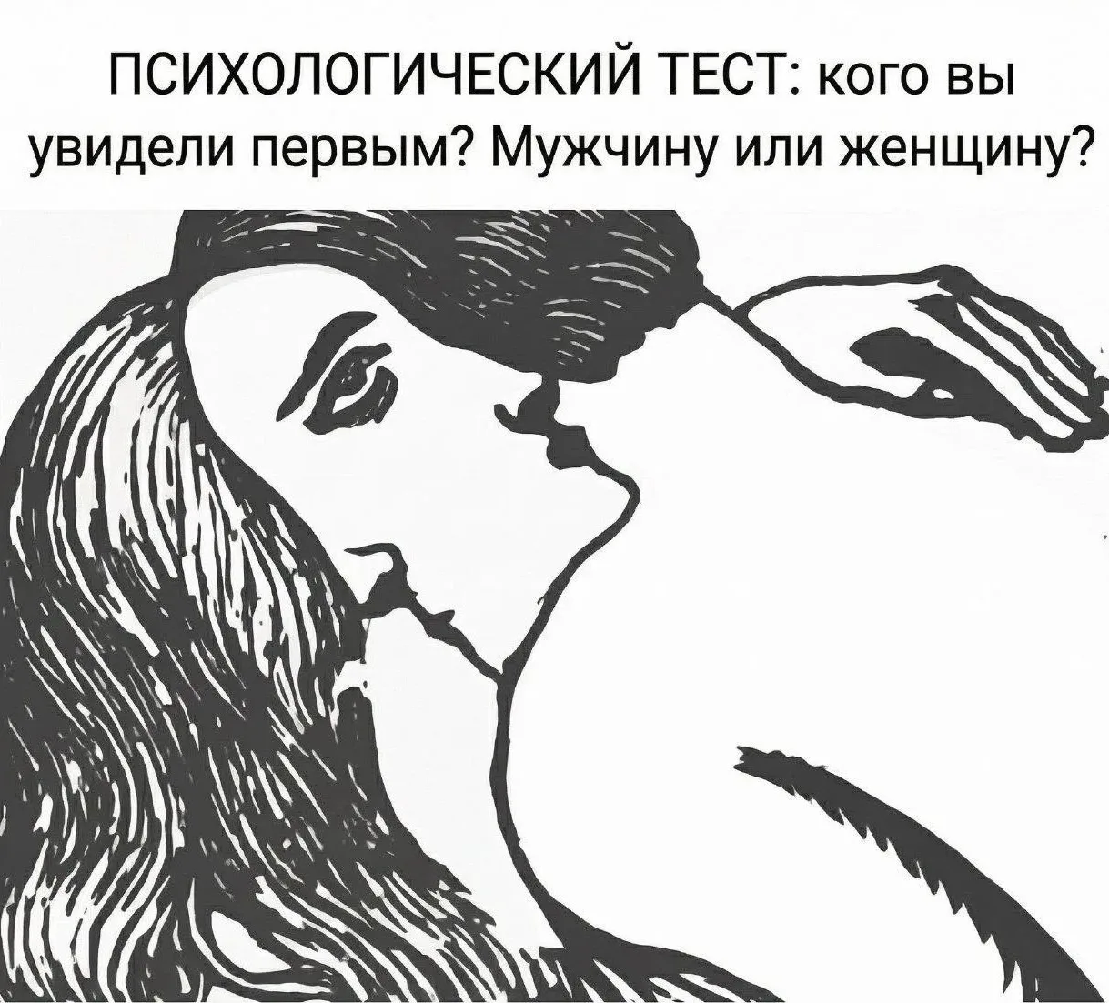 Кого вы увидели первым?