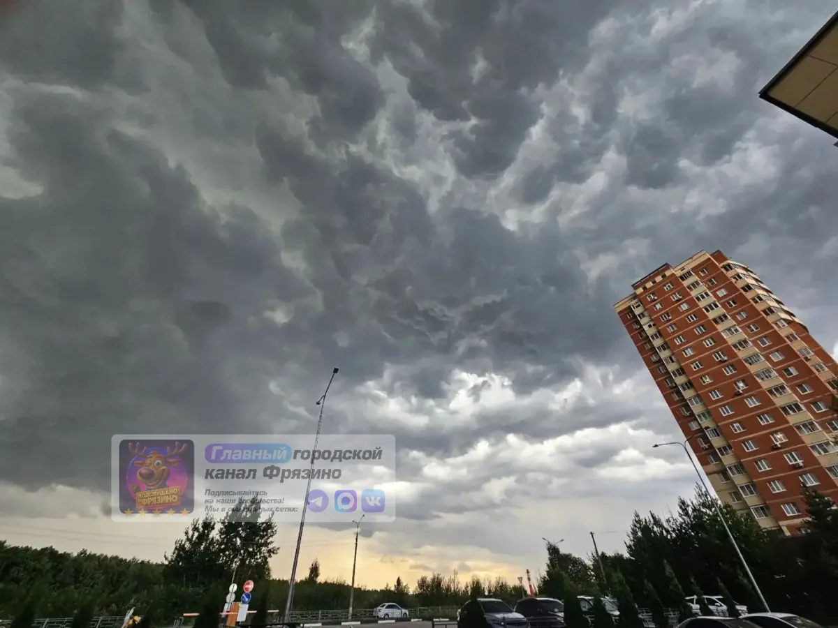 📸 Вчера перед дождем такая красота

Фото от нашего подписчика Марка Курвуазье

 ☑️ Подписаться