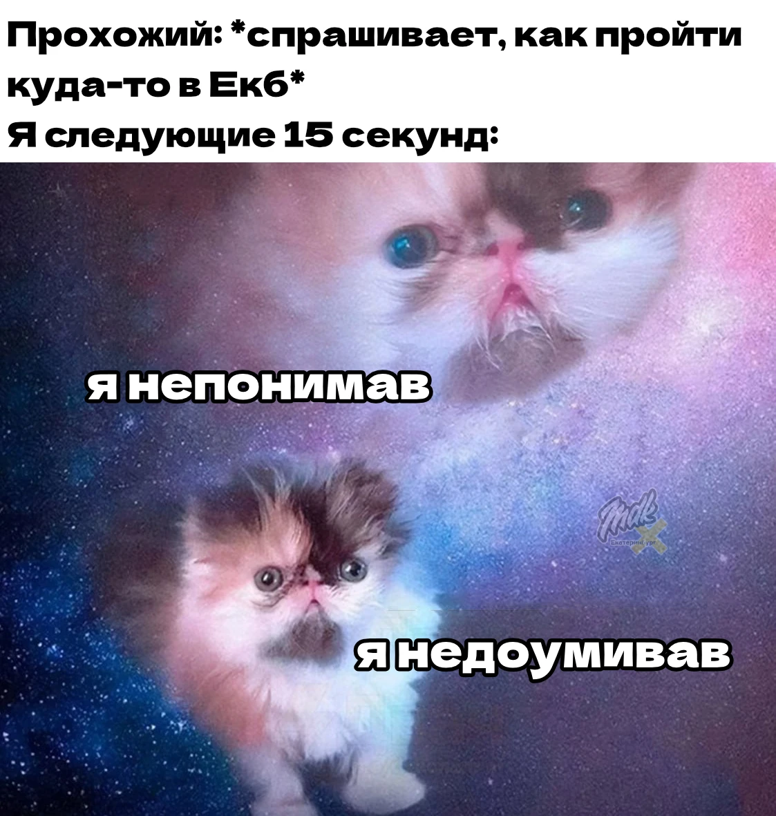 Невдупленыш