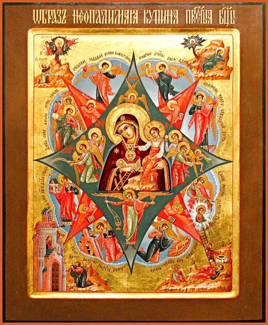 🕊 Доброе утро, наши милые голубушки!
