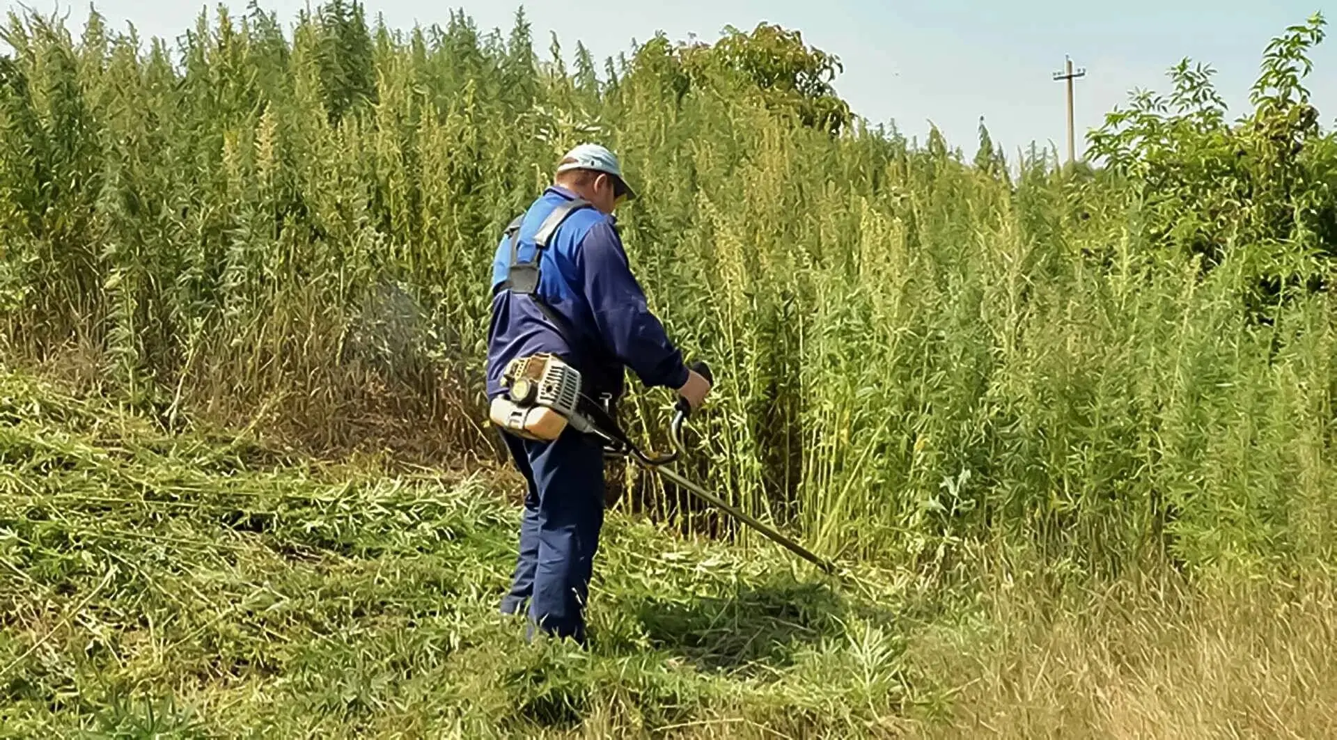 Администрация Нерчинского муниципального округа обращает внимание граждан, что в соотве...