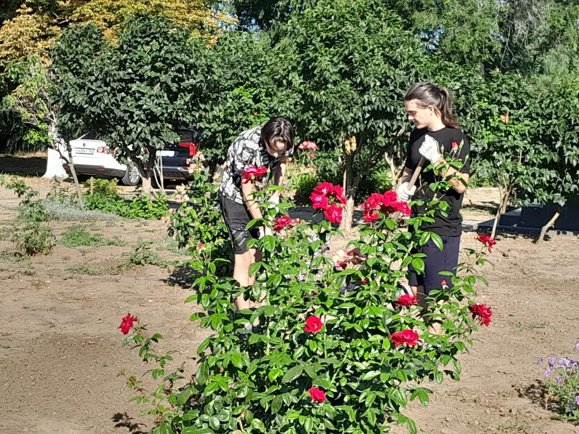Как это — работать в школе? Смотрим! 👀

Второй период летней занятости в самом разгаре. Сейчас наш 