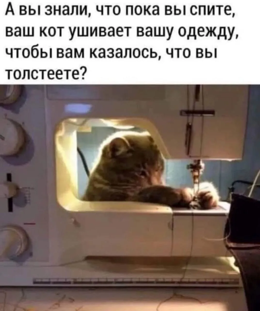 Так вот в чем дело...

Женские секреты | Подписаться