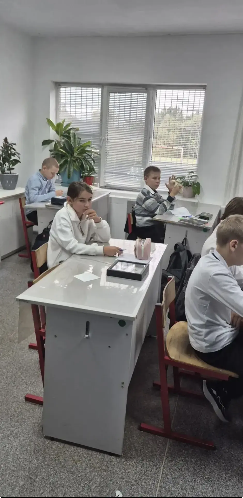 Юные экологи раскрыли секреты адаптации! 🦊🌱