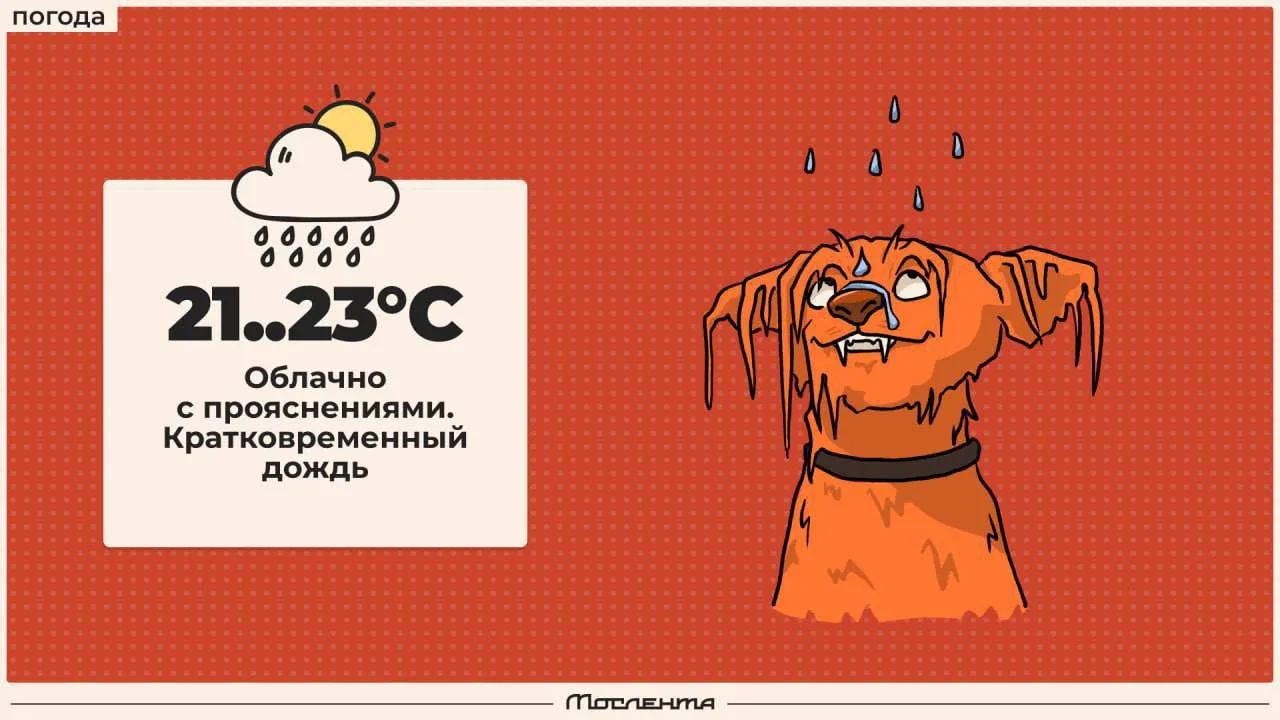 🌧️ С очередным мокрым днём!

Сегодняшний день принесёт нам очередную прохладу — воздух прогреется в