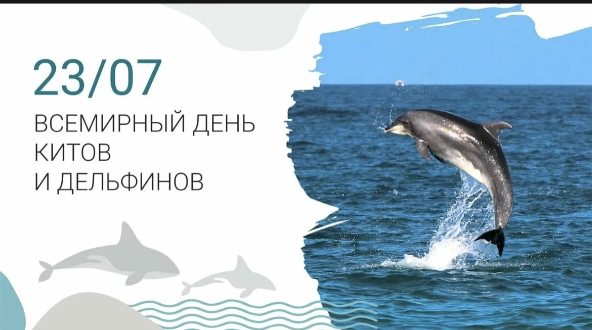 🎉 23 июля — Всемирный день китов! 🌊🐋 В этот день в группах «Гномики» (№ 2) и «Теремок» (№ 5) прош