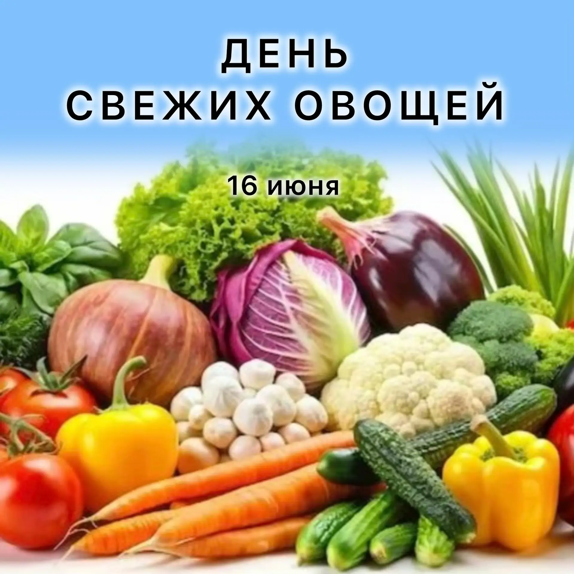 Свежие овощи полезны благодаря содержанию витаминов, минеральных веществ, органических кислот и пище