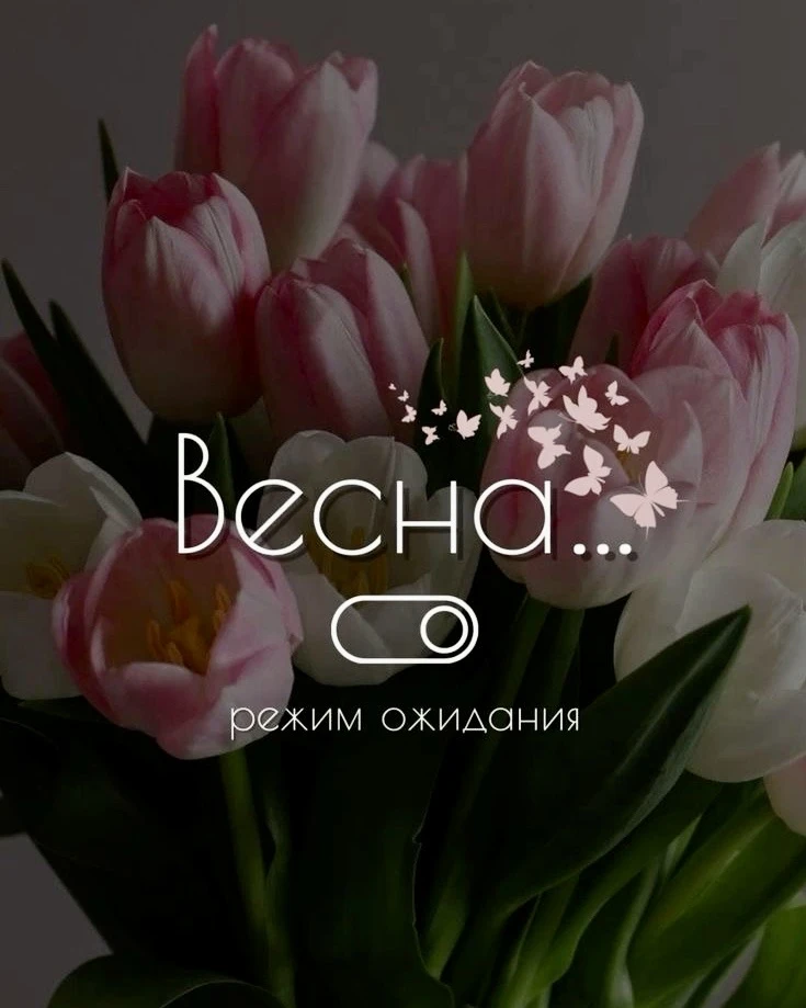 Желаем всем прекрасных выходных! Теплые солнечные дни уже не за горами, ведь совсем скоро сибирские 