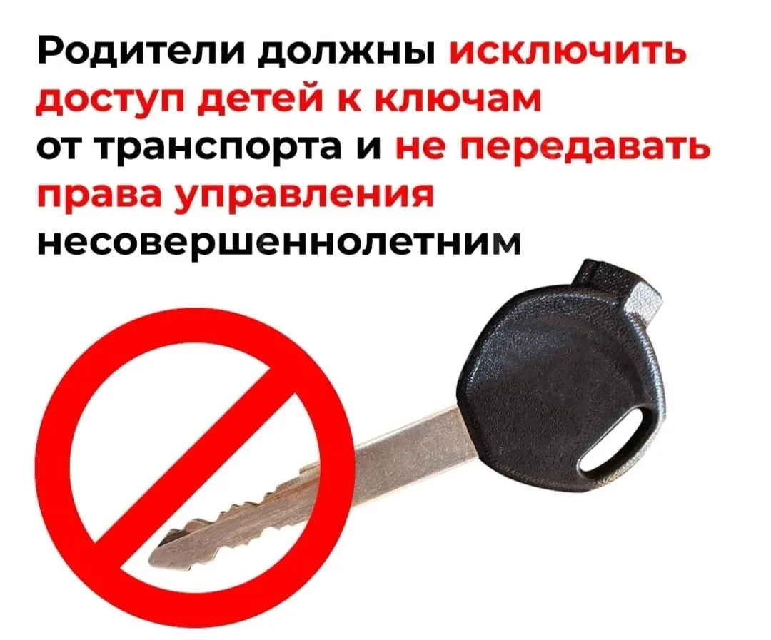 🛵 Кому предоставляется право управления мопедом?