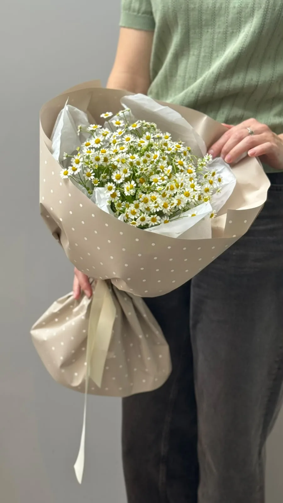 Матрикария: Солнечные ромашки, которые украшают нашу ферму этим летом! 🌼