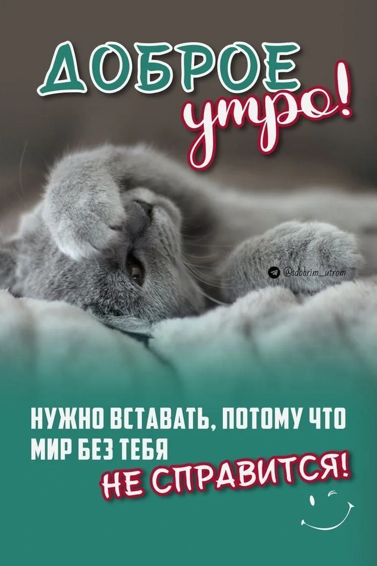 Доброе утро! ☀️