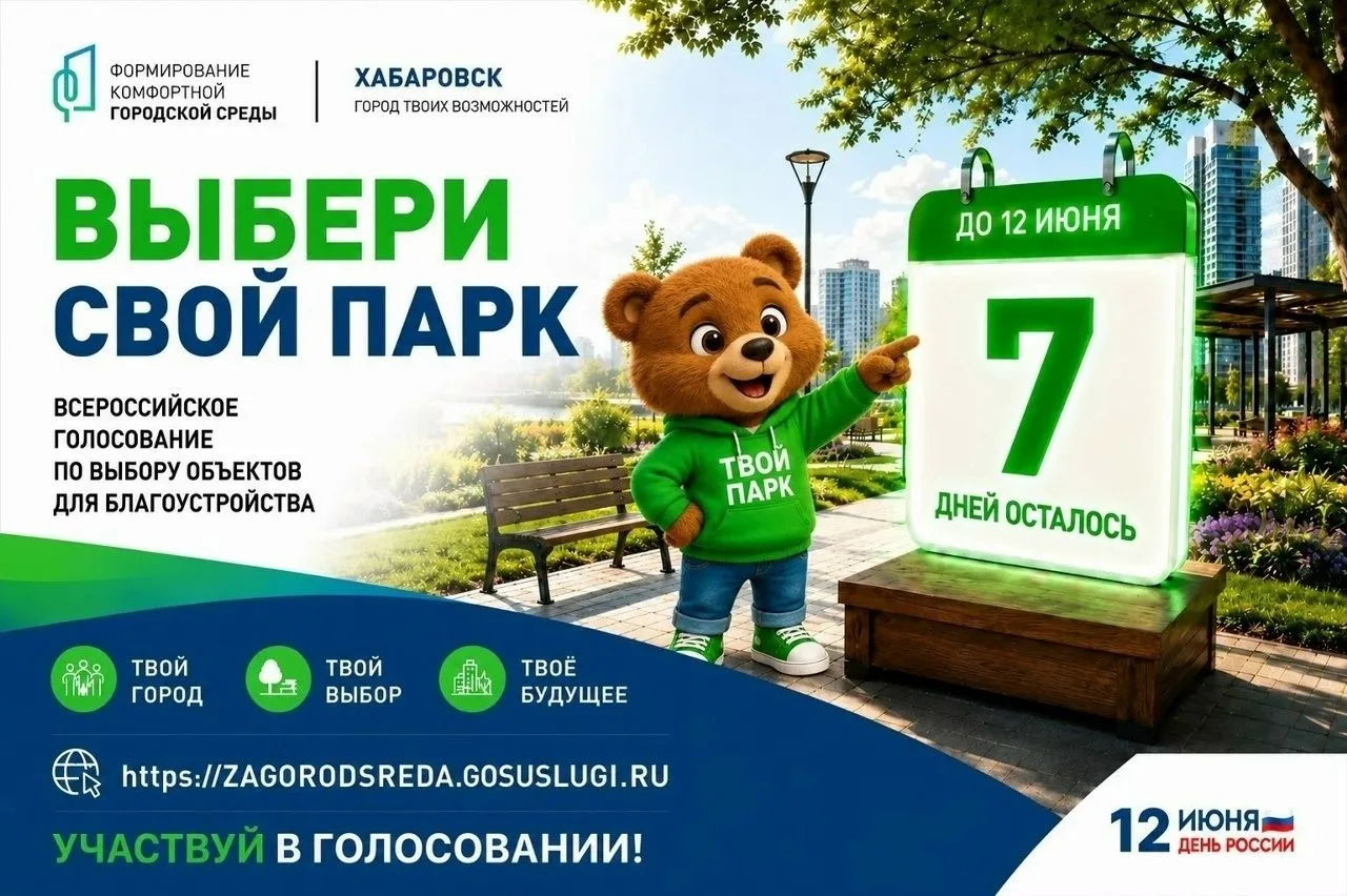 Голосование за благоустройство 2027 в рамках нацпроекта «Инфраструктура для жизни» в са...
