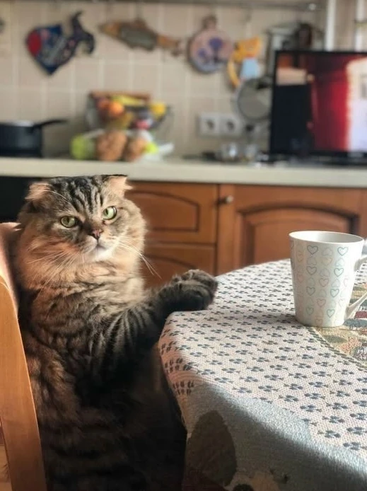 - Ну и что, что понедельник?! Кофе никто не отменял... Наливай!