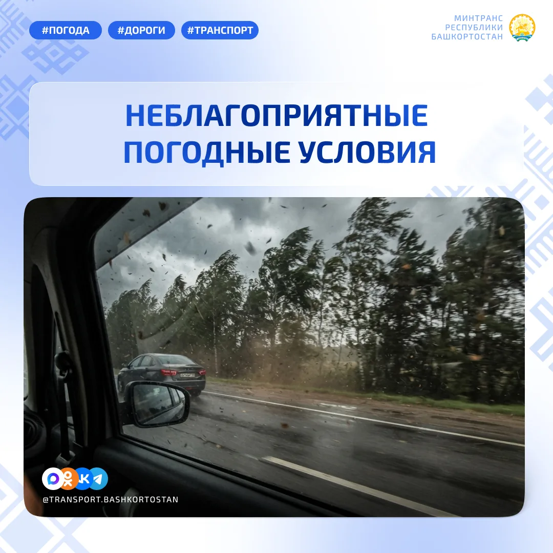 🌧 Неблагоприятные погодные условия 8 октября