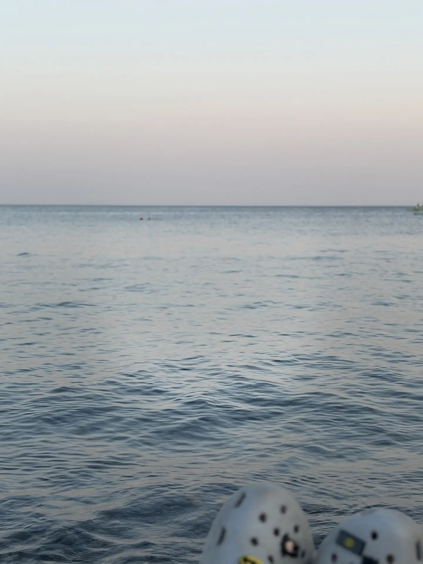Морской спам🌊