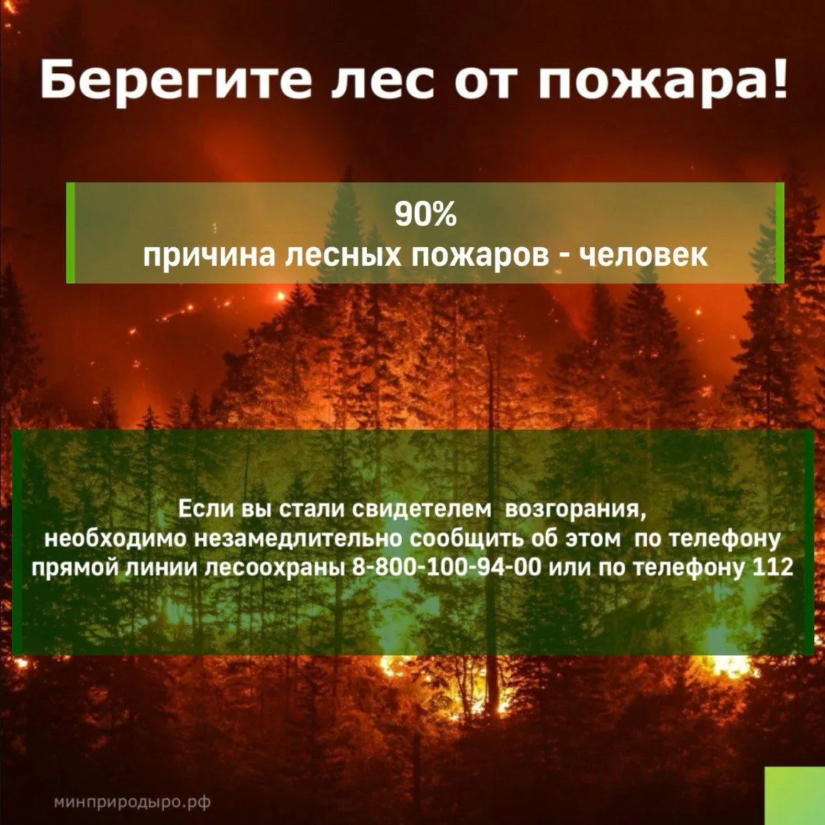 Основной причиной возгораний в лесу является человек!