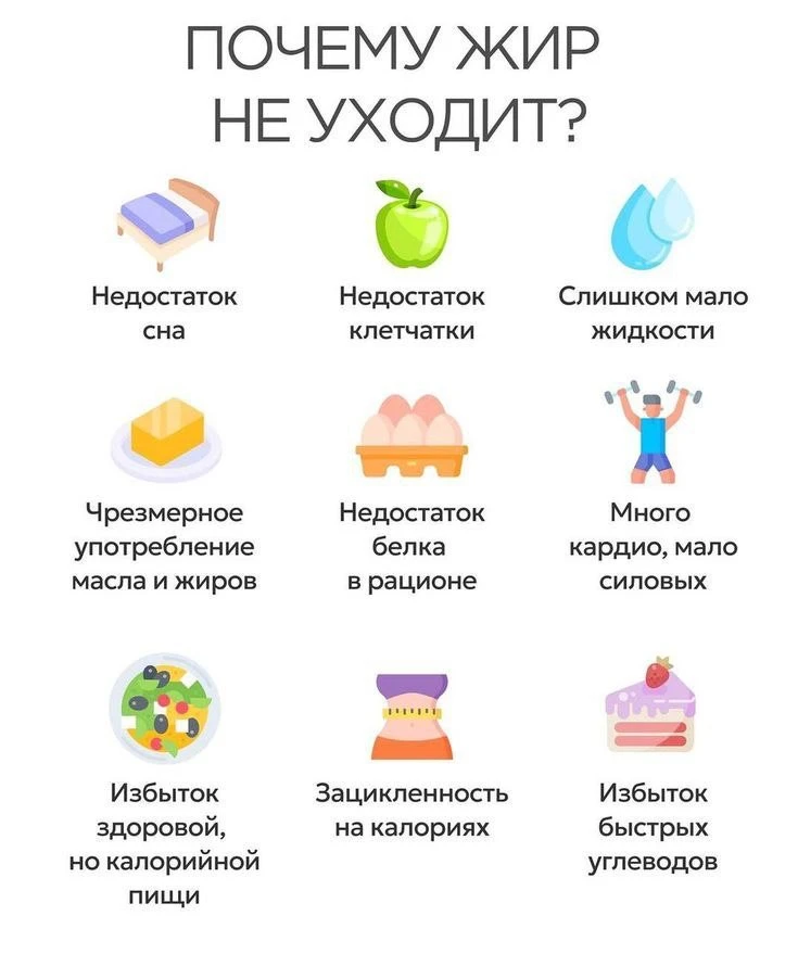 Почему жир не уходит