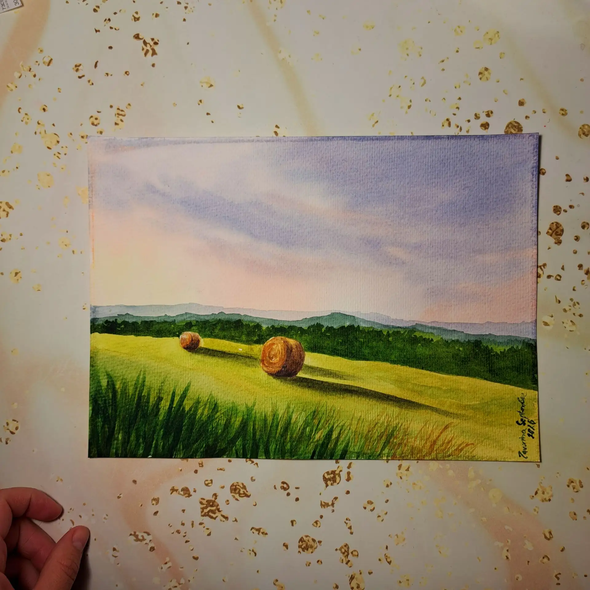 Доброй ночи всем, сегодня работа по мк, поле, сено🌾природа🌿