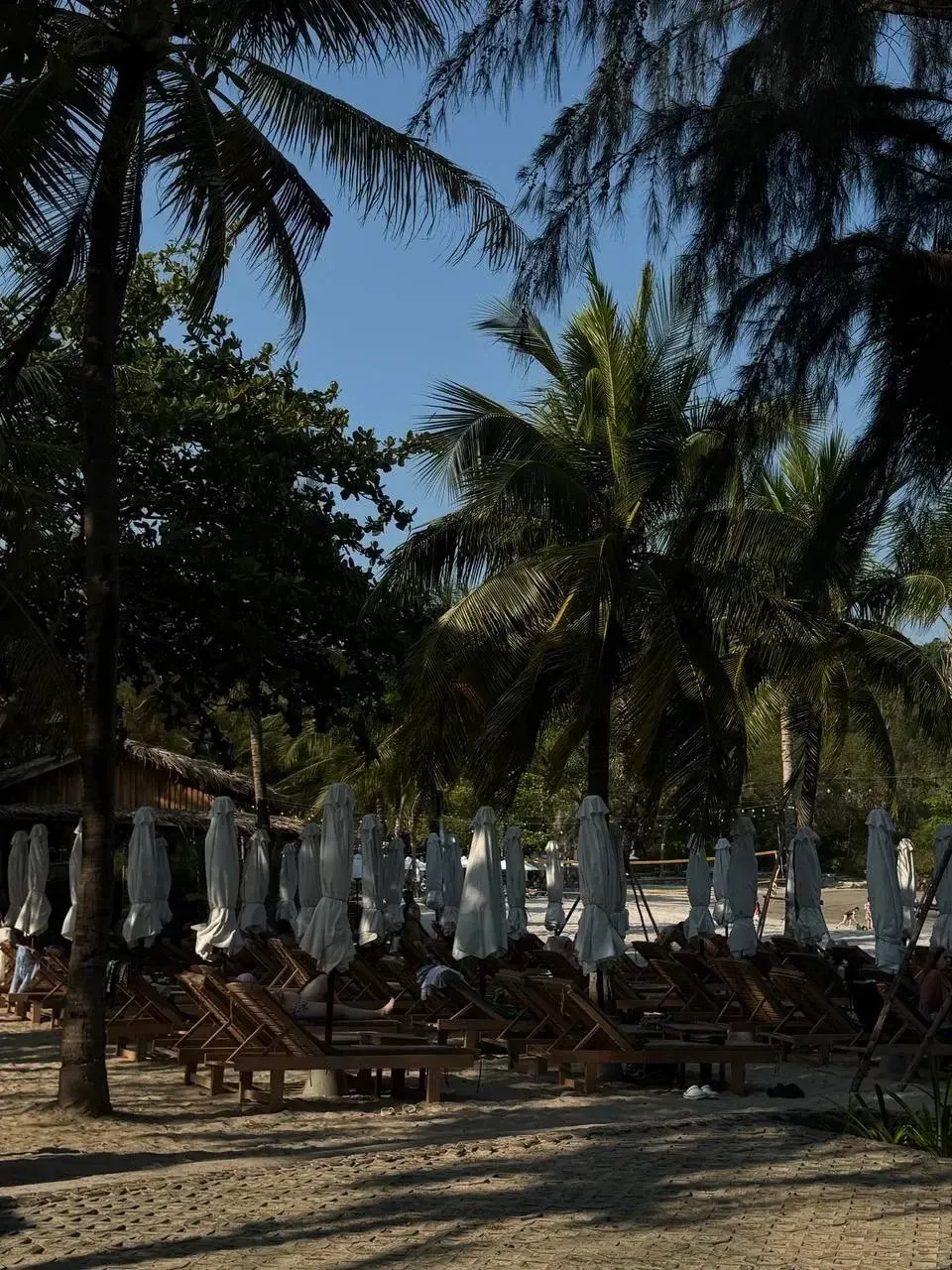 Нячанг🇻🇳

Пляж в Costabella Resort🔆  

Чистейшая вода — видно дно даже на глубине. Лежаков реальн
