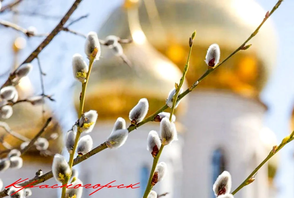 🌿Сегодня, за неделю до Светлой Пасхи, православный мир отмечает Вербное воскресенье, которое наполня