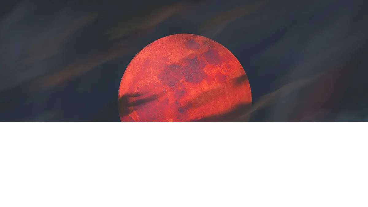 «Оленью Луну» смогут увидеть жители Новосибирска 🌕

В ночи с 28 на 29 июля и с 29 на 30 июля небо у