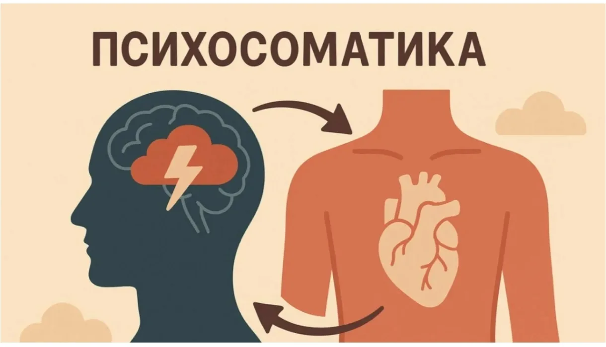 Психосоматика сердца: когда эмоции бьют по главному органу.

Психосоматика — это не «выдумка» и не п