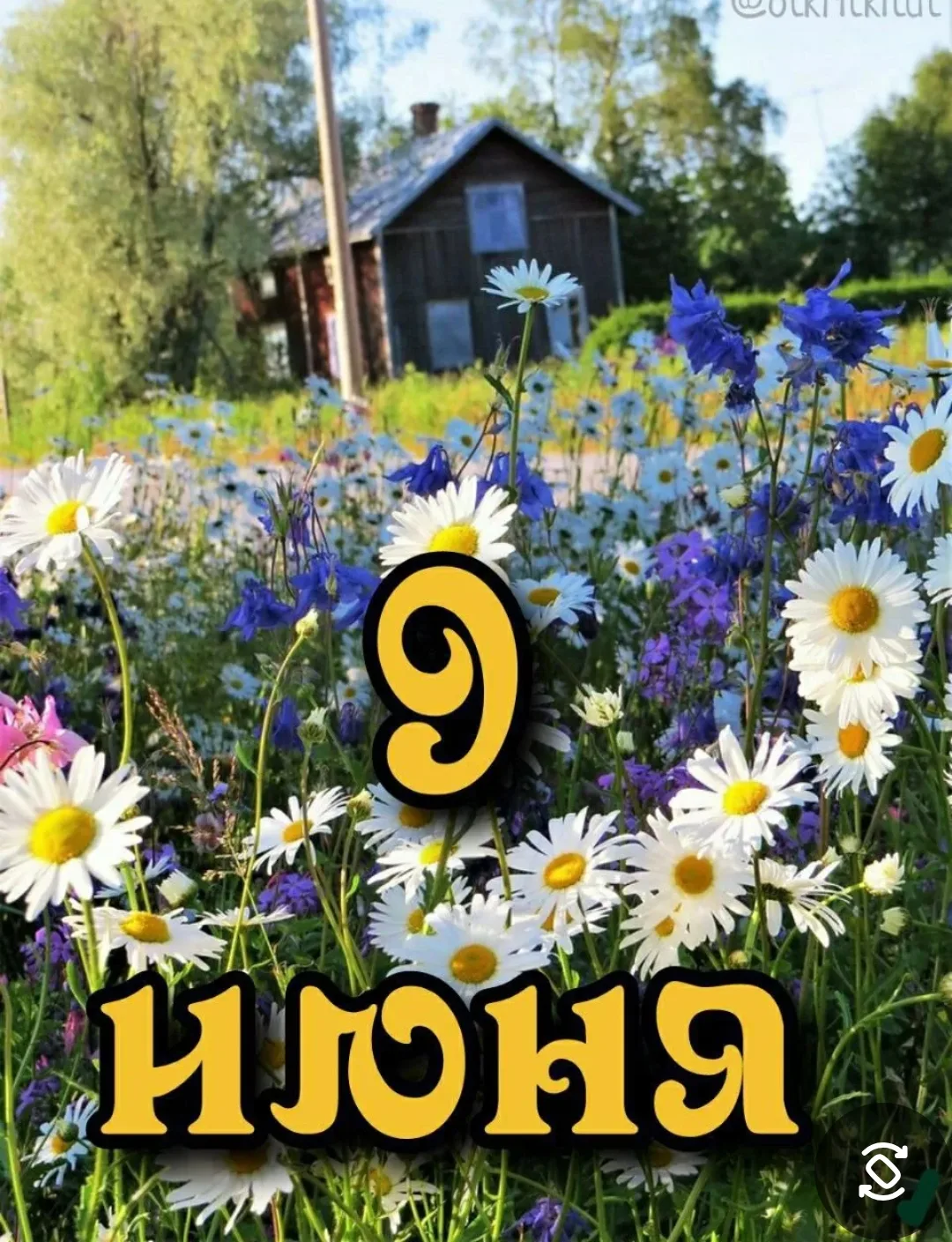 С добрым утром Лицей 9! ❤️