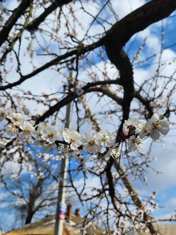 ☀️Доброе утро, друзья!  Пусть этот день принесёт вам только радость, вдохновение и приятные сюрпризы