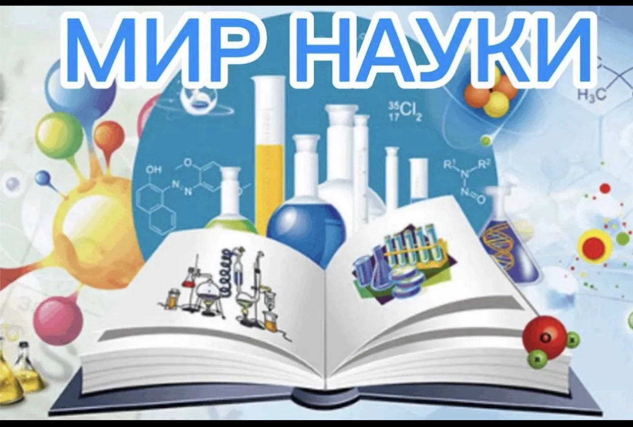 Рубрика «МИР НАУКИ»


Человек и организм

🧠Мозг во сне “разбирает по полкам”: активность меняется, 