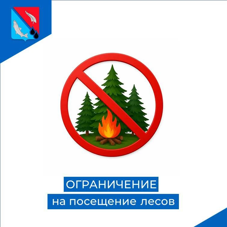🌳🔥 В Ногликском муниципальном округе введено ограничение на посещение лесов

В целях обеспечения п