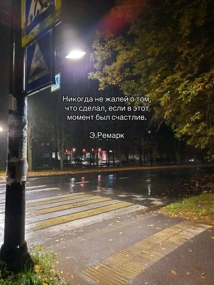 никогда не жалей о том, что сделал, если в этот момент был счастлив


СТАТУСЫ 🩵 | АВЫ 💜 | ОБОИ 🩷